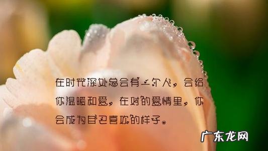 分手开心的句子说说心情短语 【抖音文案】开心英语句子说说心情短语