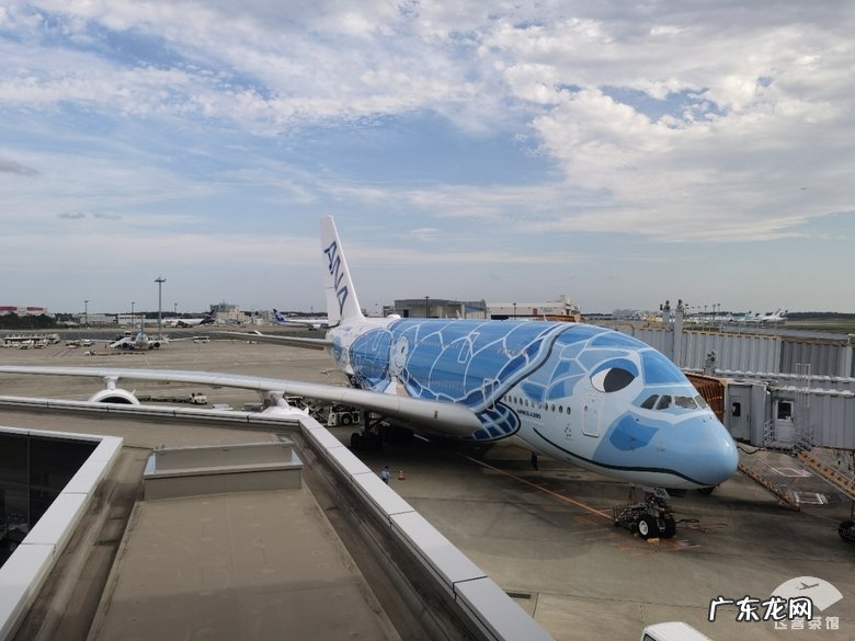 飞机头等舱和商务舱的区别 飞机头等舱一般多少钱