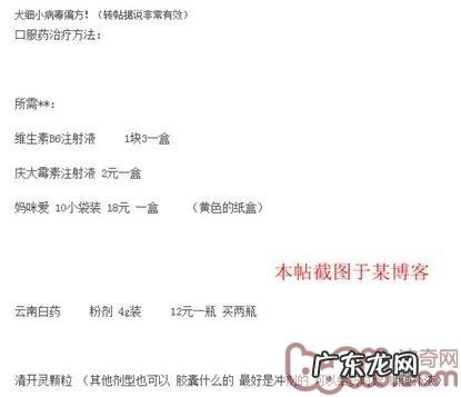 有关细小病毒的小偏方和念头