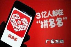 拼多多哪些算品质退款 拼多多品质退款率多少会处罚？拼多多怎么看退款率