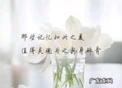 心情不好的句子发朋友圈短句 【抖音文案】心情不好时发朋友圈的短句