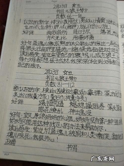 摘抄的好词好句有哪些,初中 【抖音文案】摘抄的好词好句有哪些