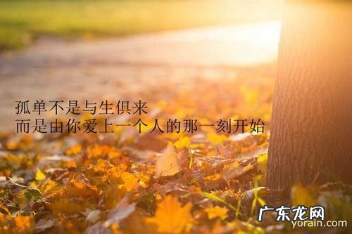 热恋爱情的句子唯美短句 【抖音文案】描写爱情的句子唯美短句