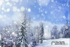 秋天进入冬天的句子短句唯美 【抖音文案】关于冬天的句子短句唯美