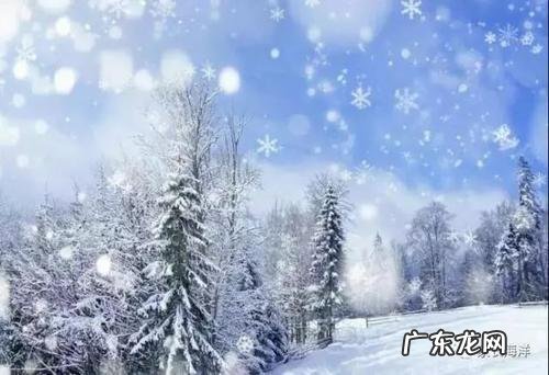 秋天进入冬天的句子短句唯美 【抖音文案】关于冬天的句子短句唯美