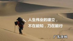 努力工作励志的句子 正能量 【抖音文案】关于努力工作的励志句子