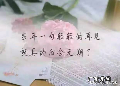 形容自己被感动的句子说说心情 【抖音文案】感动人心的句子和说说