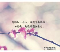 精美句子20字左右 【抖音文案】风的句子10字左右