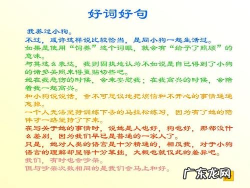 眼睛描写好词好句子 【抖音文案】眼睛句子好词好句