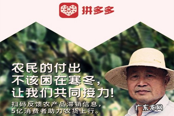 拼多多下架再上架影响权重吗 拼多多滞销产品是直接下架吗？滞销怎么解决？拼多多刚买完就下架