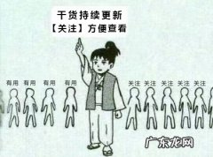 分享五款免费文件恢复软件 文件恢复软件哪个好