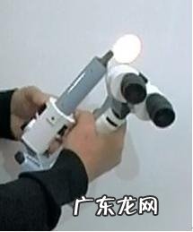 萌宠视力检测了解多少