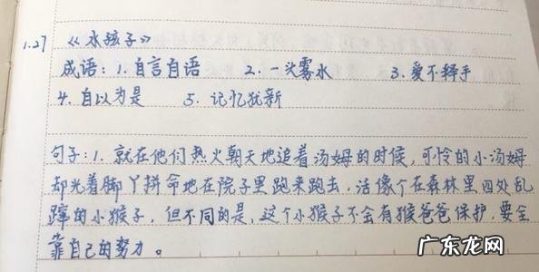 描写夏天的优美句子摘抄,摘自哪里 【抖音文案】摘抄夏天优美句子50字