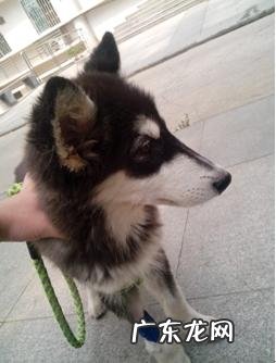 一例有关骨裂后医治耽误的实例