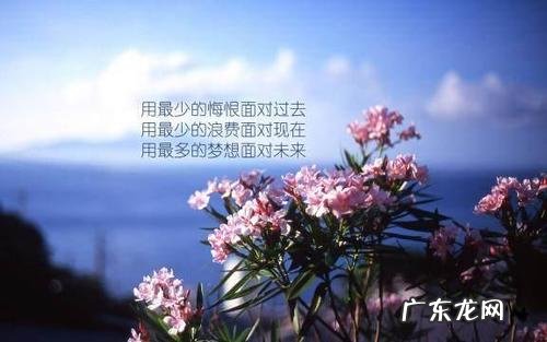 励志文案正能量治愈干净长句 【抖音文案】致自己的长句励志正能量