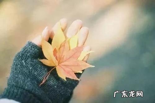 声之形最感人的一句话 【抖音文案】感人暖心的一句话