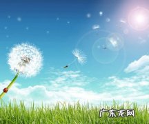 蒲公英拟人句写一句话 【抖音文案】蒲公英的特点写一句话