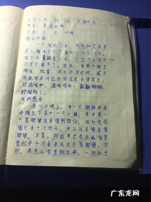 爱的教育十一月好词好句摘抄 【抖音文案】十一月好词摘抄100个