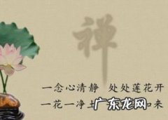 关于人生哲理的句子摘抄大全 【抖音文案】关于人生哲理的句子