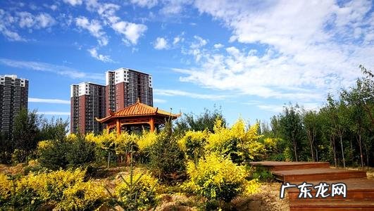 赞美雨后小区美景短句 【抖音文案】赞美小区美景短句