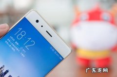 拼多多试用后要运费么 拼多多0元试用后要钱么？是真是假？拼多多试用成功率100%