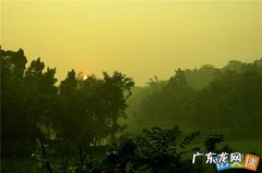 描写街上清晨安静的句子 【抖音文案】怎样描写清晨的街上