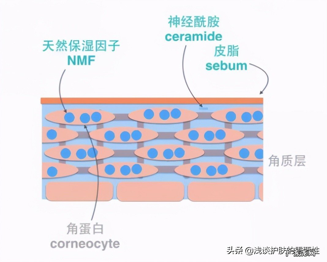 快速修复敏感肌肤的6个小妙招 什么化妆品不过敏补水效果好