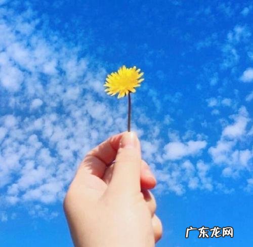 表达内心很温暖的句子 【抖音文案】内心很温暖的句子