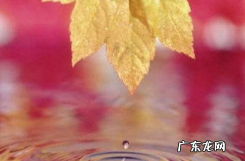 描写九月的优美句子开头 【抖音文案】描写九月的优美句子