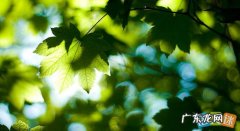 描写九月的优美句子开头 【抖音文案】描写九月的优美句子