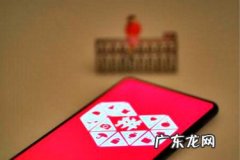 释迦果如何保存不烂 拼多多坏果烂果售后纠纷怎么解决？解决方法有哪些？售后服务的纠纷处