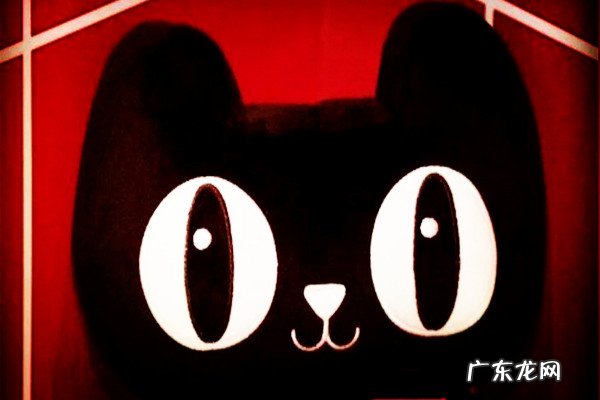 天猫推广费用一般多少?一年需投入多少推广费?