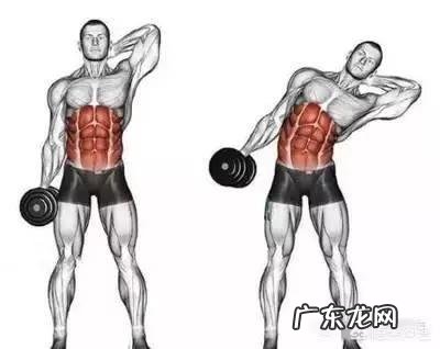 健身初学者在刚开始的时候应该怎么练?