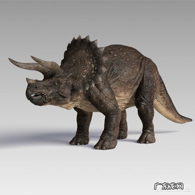 非洲象的体型在恐龙时代是什么ji别？