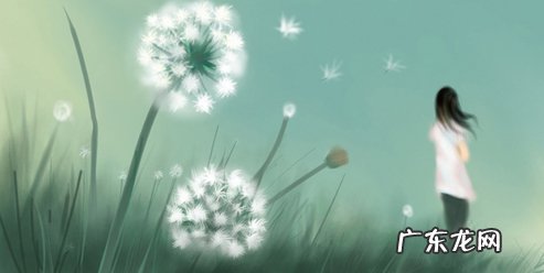 描写蒲公英的优美句子 【抖音文案】蒲公英哲理句子