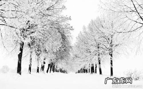 冬天优美句子摘抄简短20字 【抖音文案】关于冬天的优美句子简短