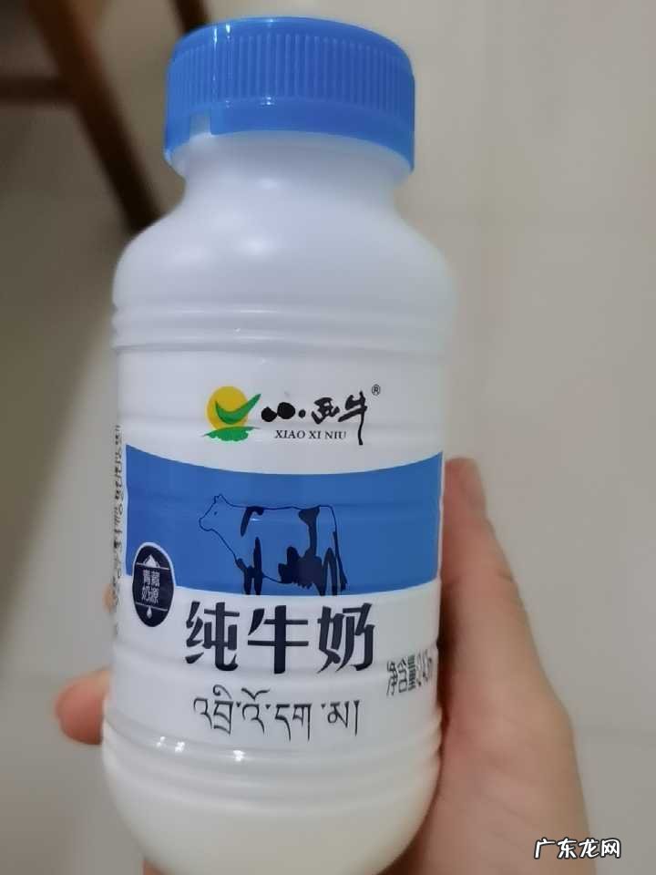 最好喝的10款纯牛奶推荐 哪个牌子的纯牛奶好喝