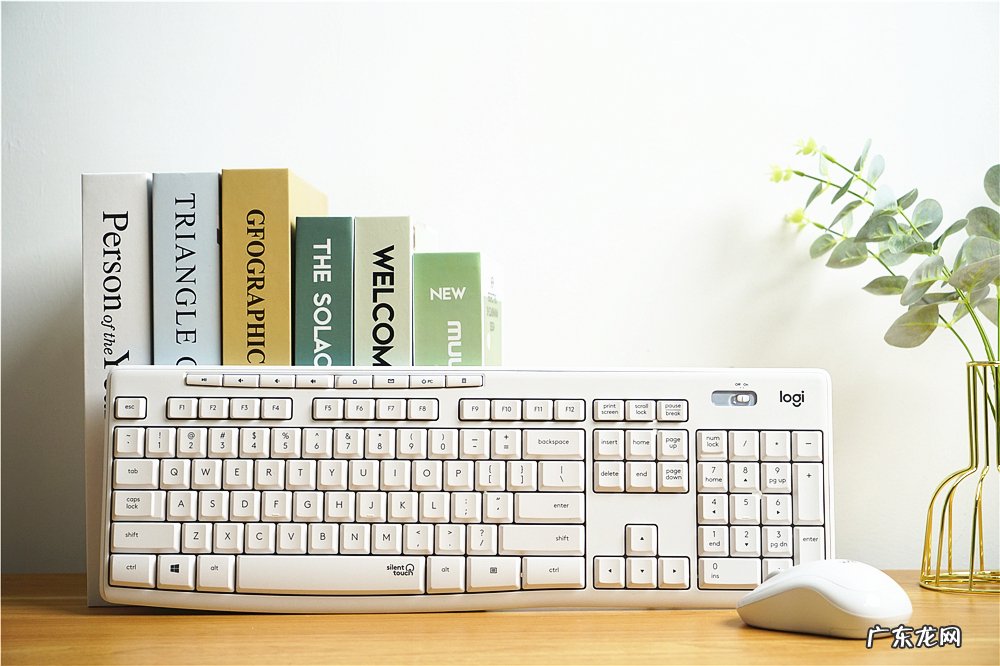 罗技MK295静音键鼠套装体验 静音键盘真的无声吗