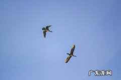 赞美县城发展的句子 【抖音文案】对小县城的赞美