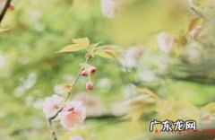 时间岁月感慨的句子 【抖音文案】女人感慨岁月的句子