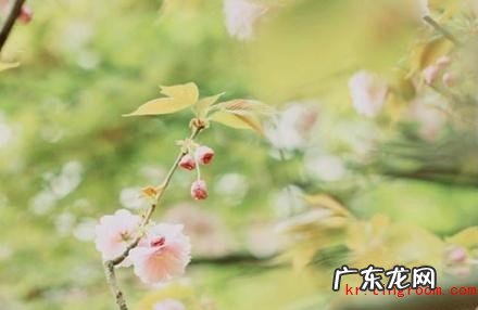 时间岁月感慨的句子 【抖音文案】女人感慨岁月的句子