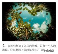 温暖感动人心的句子 【抖音文案】能感动人心的句子