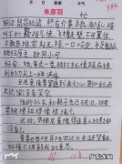 好字好句摘抄大全 【抖音文案】好句好段摘抄大全100字
