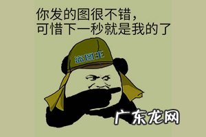 拼多多盗钱是真的吗 拼多多投诉盗图有用吗？常见的几个问题拼多多盗图平台不处理怎么办