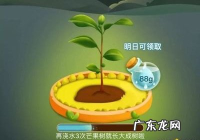 京东种树领水果安全吗 拼多多种树安全吗?怎么领水滴来种树?哪些平台可以种树领水果