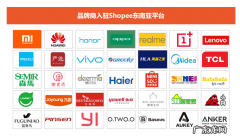 Shopee2018年战绩辉煌 小米海澜美的都已入驻