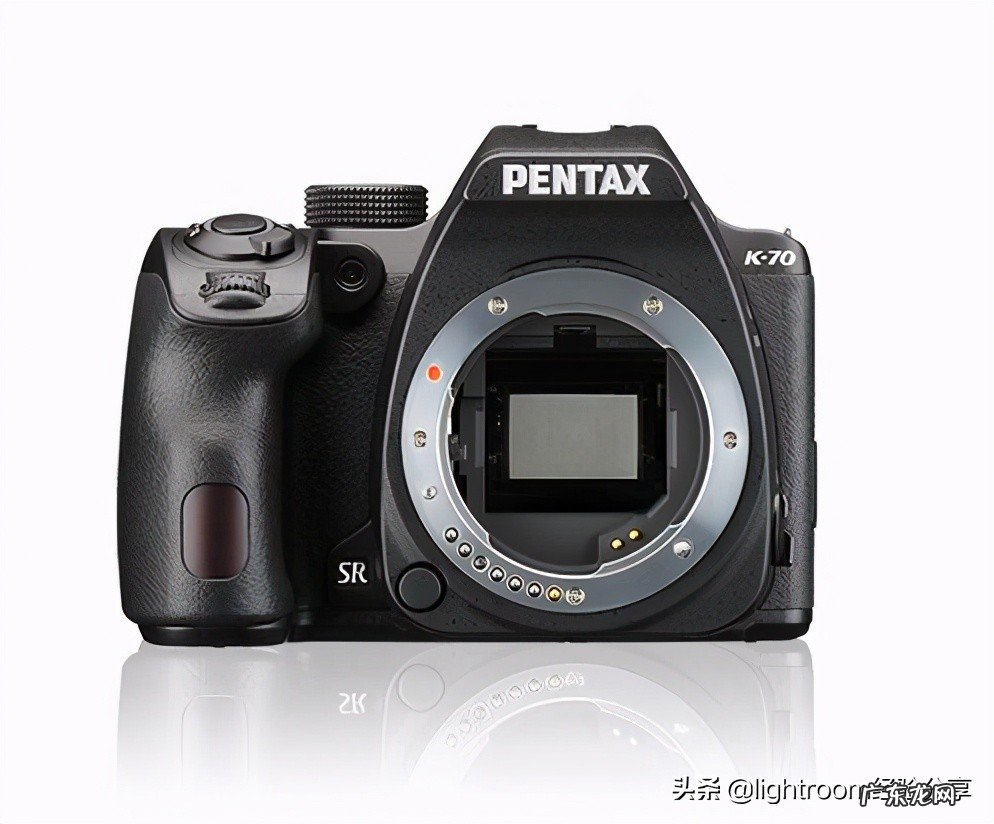 新手入坑摄影相机推荐 单反入门机型推荐