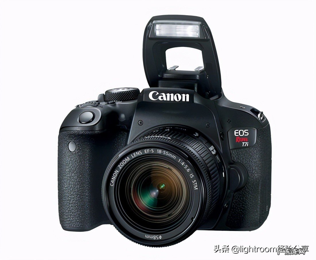 新手入坑摄影相机推荐 单反入门机型推荐