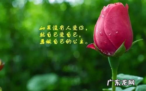 正能量的经典句子 【抖音文案】正能量的简短句子