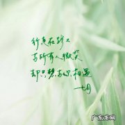 形容颜色的优美短句 【抖音文案】形容12月的优美短句